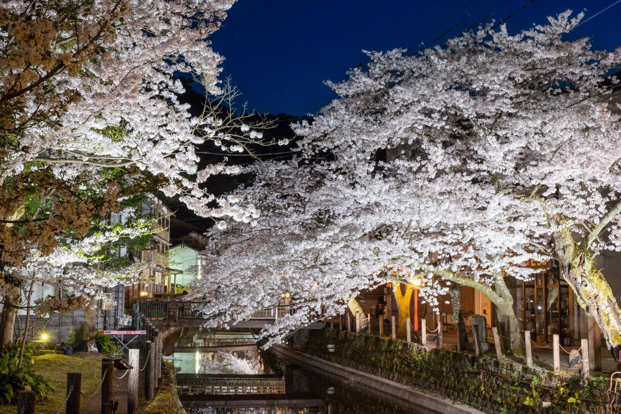 Mikuniya Hotel Toyooka  Exterior photo