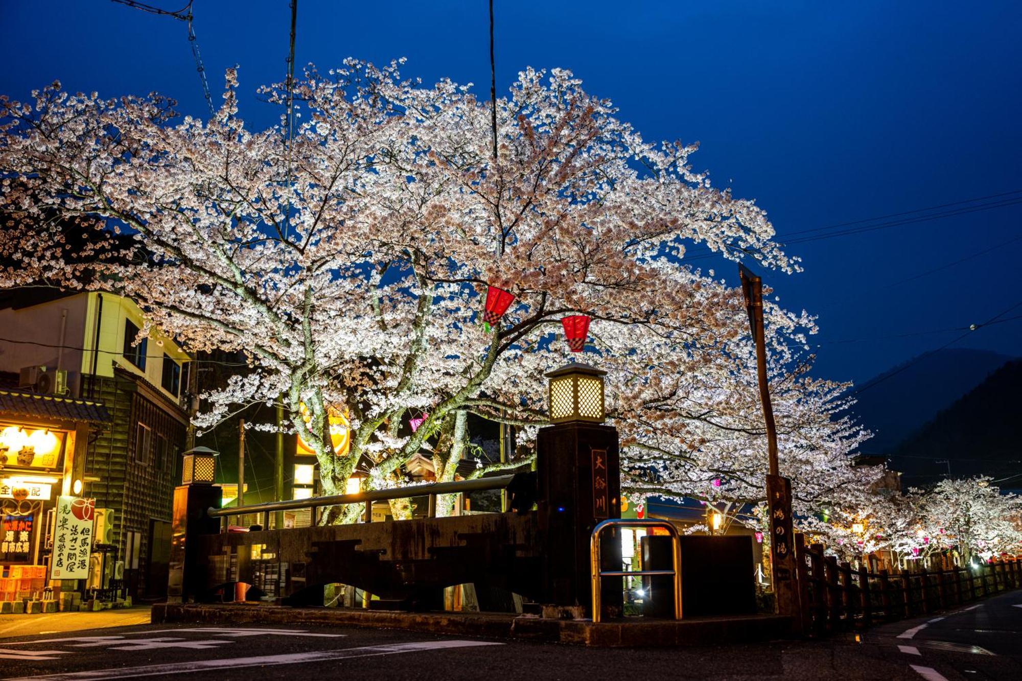 Mikuniya Hotel Toyooka  Exterior photo