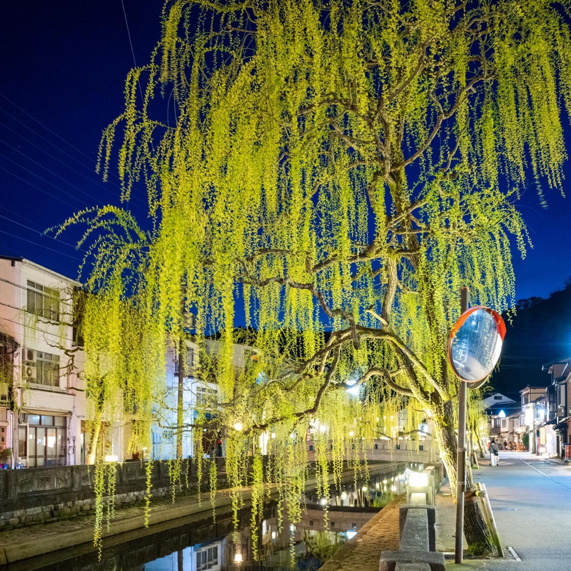 Mikuniya Hotel Toyooka  Exterior photo
